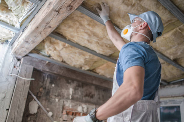 Trusted Ingram, PA Insulation Contractor Experts