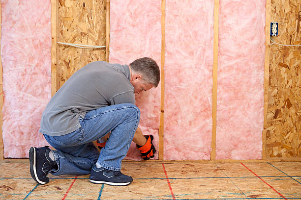 Best Residential Insulation Services  in Ingram, PA